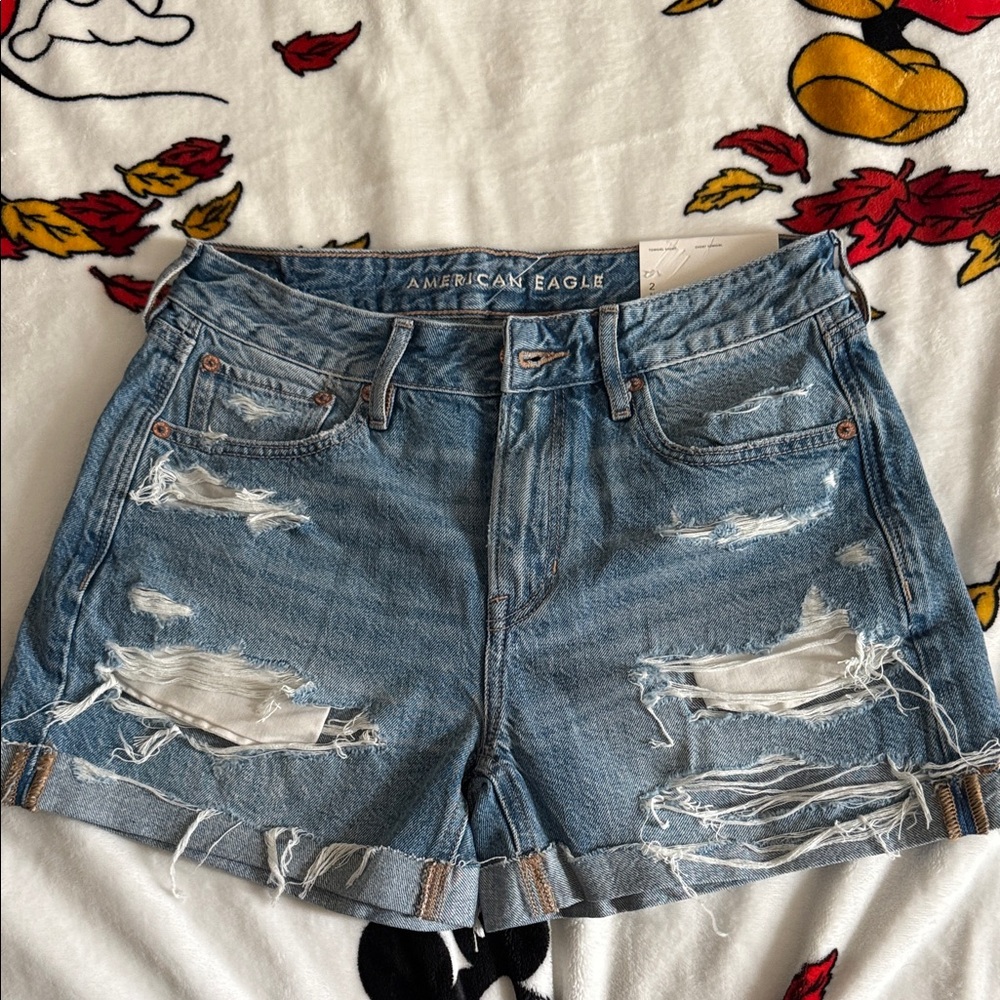 American Eagle Outfitters Light Blue Ripped Jean Shorts